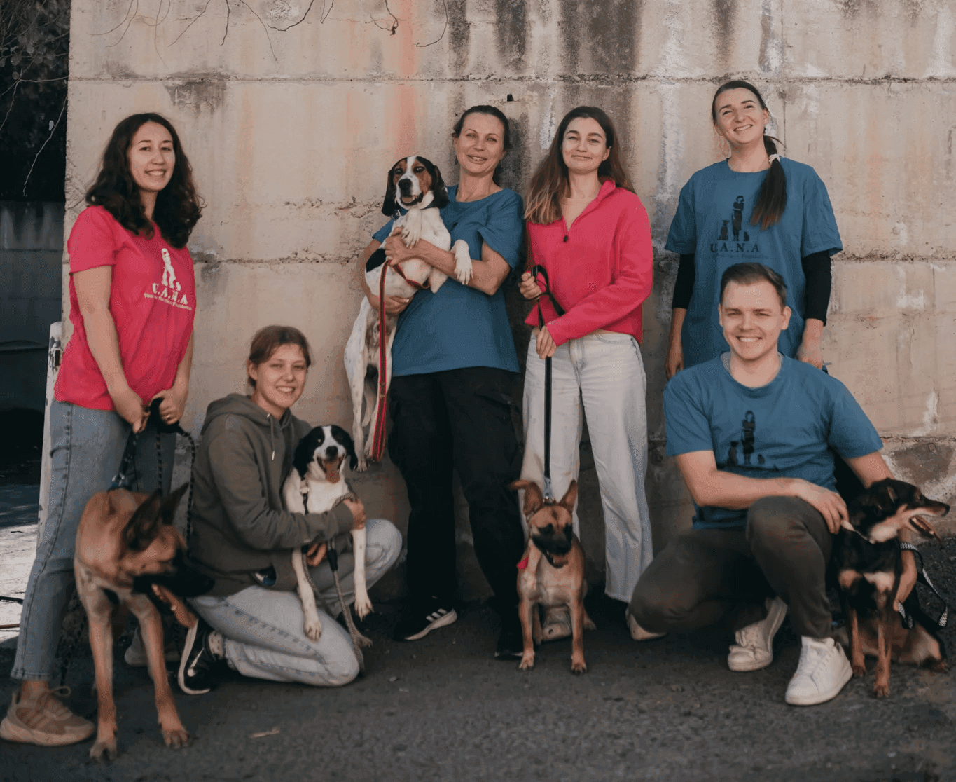 UANA volunteers with shelter dogs
