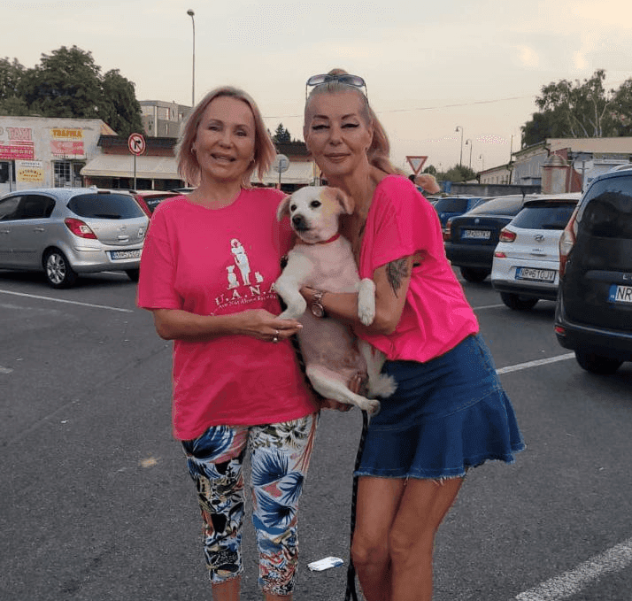 Emergency Foster