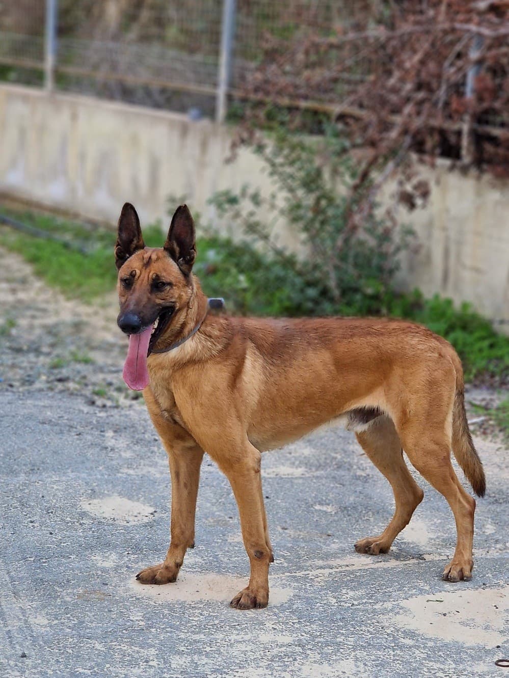 Zeus