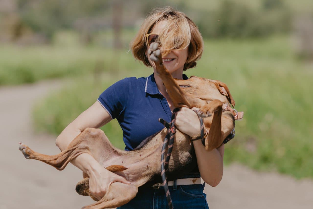 A volunteer playing with a rescued dog