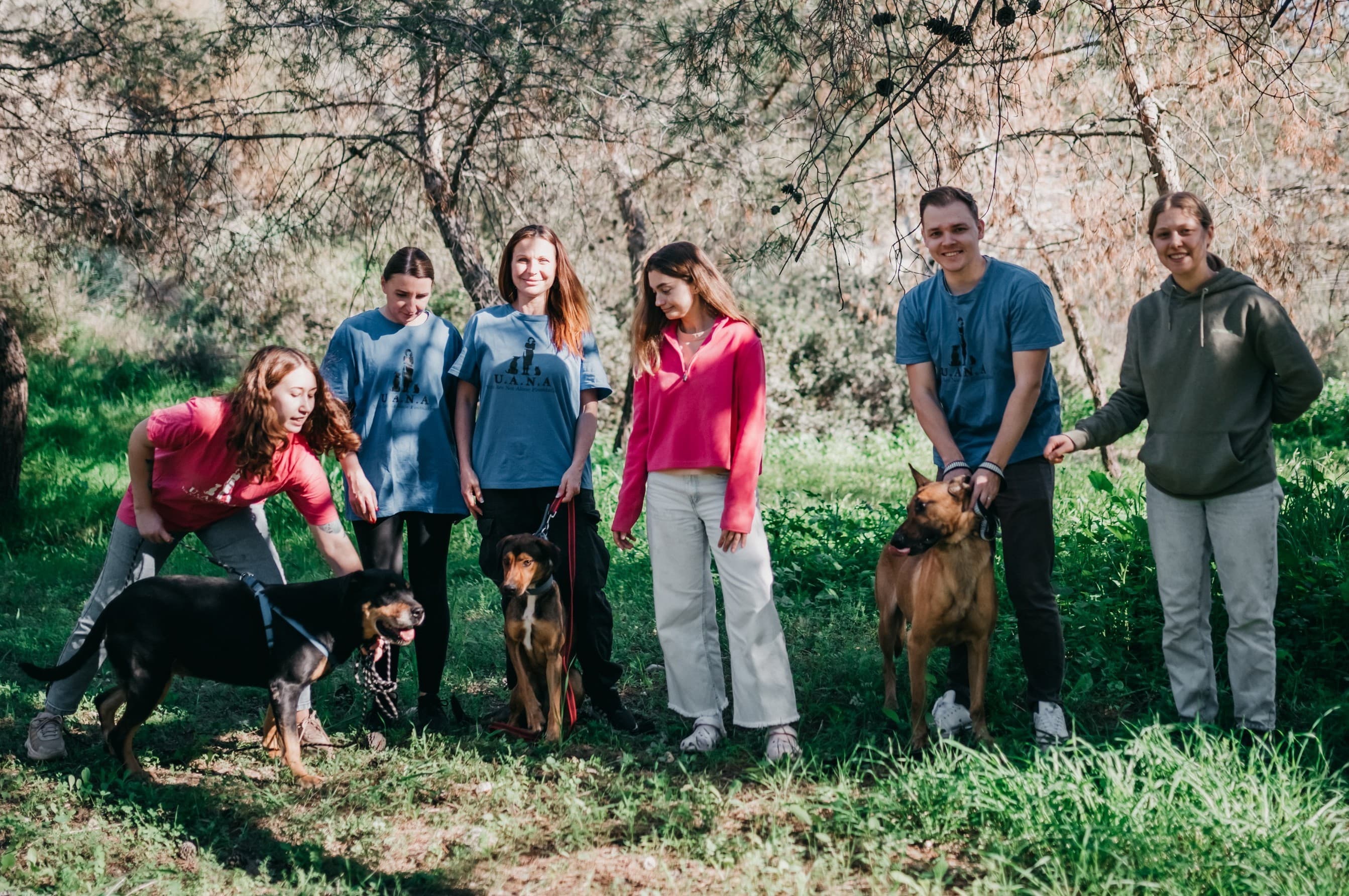 Volunteers walking shelter dogs together